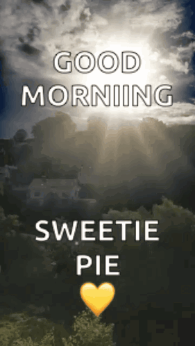 White Dog Running Finally It's Friday Good Morning GIF