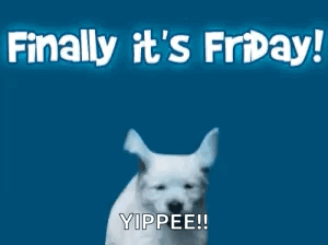 White Dog Running Finally It's Friday Yippie!