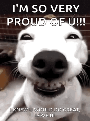 White Dog Says I'm Very Proud Of U GIF