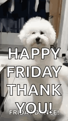 White Dog Sitting by Happy Friday Thank You Sign