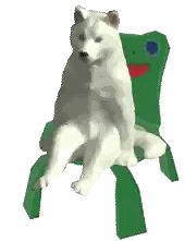 White Dog Sitting on Green Chair