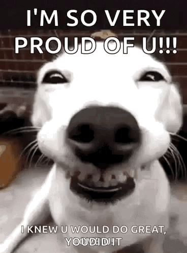 White Dog Smiling I'm So Very Proud Of U GIF