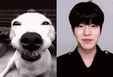White Dog with Black Nose Smiling Next to Man