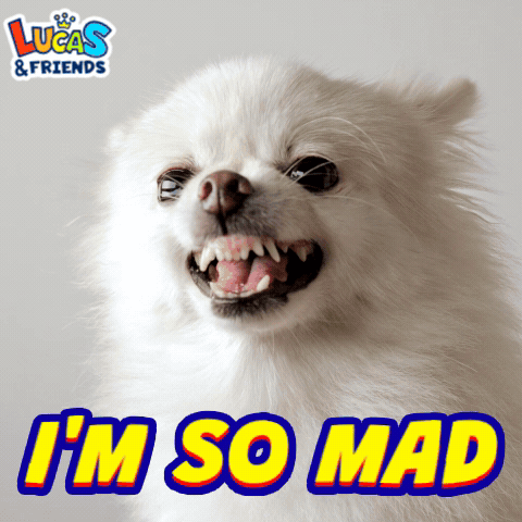 White Dog with Lucas and Friends Logo