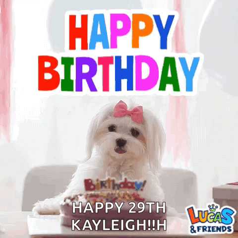 White Dog with Pink Bow and Birthday Cake
