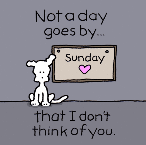 White Doggo Thinking Of You Sympathy GIF