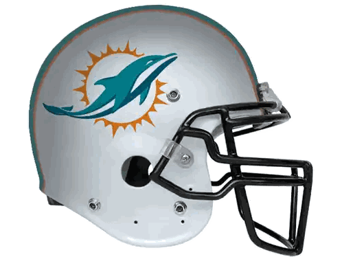 White Dolphin Football Helmet