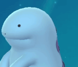 White Dolphin With Black Spot on Face