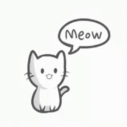 White Doodle Cat Meow GIF