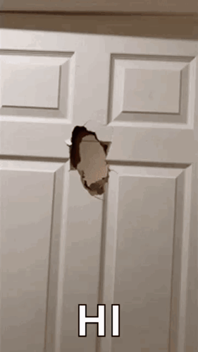 White Door with Hole Saying Hi