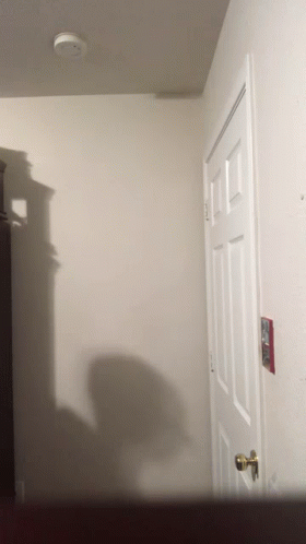 White Door With Smoke Detector