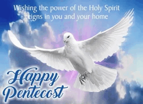 White Dove Flying on Pentecost Card