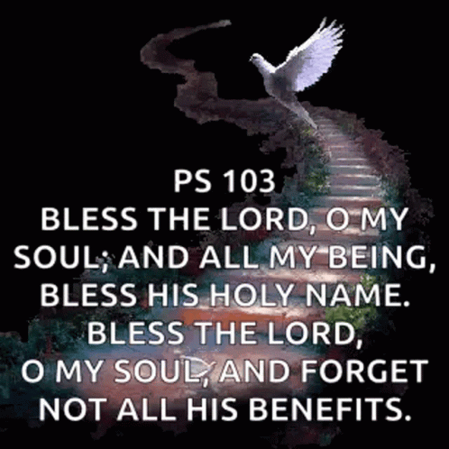 White Dove Flying Over Staircase With Bible Verse