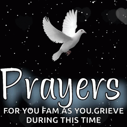 White Dove Prayers for You Fam as You Grieve During This Time