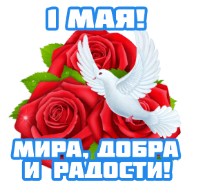 White Dove Sitting On Red Roses GIF