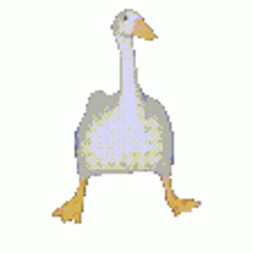 White Duck Cheerful Dance Walk GIF