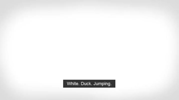 White Duck Jumping GIF