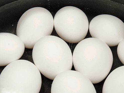 White Eggs in Black Bowl