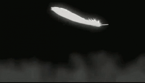 White Feather Flying In Dark Room GIF