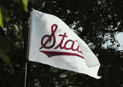 White Flag Saying Stau Waving