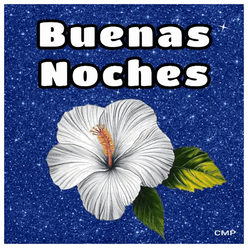 White Flower and Buenas Noches