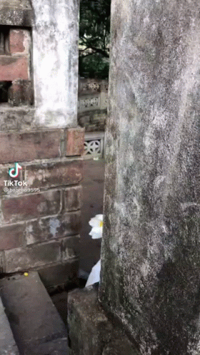 White Flower Between Two Brick Pillars in Cemetery