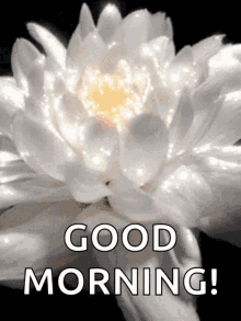 White Flower Good Morning GIF