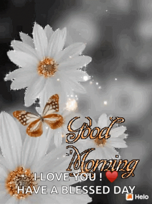 White Flower Good Morning Have A Blessed Day GIF
