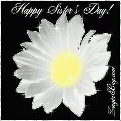 White Flower On Sister Day GIF