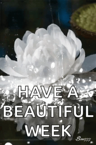 White Flower Saying Have a Beautiful Week