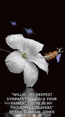 White Flower Thinking Of You Sympathy GIF