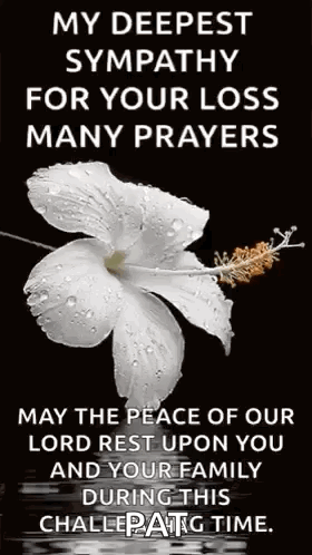 White Flower With Water Drops Prayer