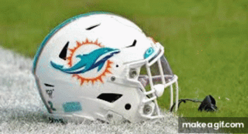 White Football Helmet With Dolphin On Field GIF