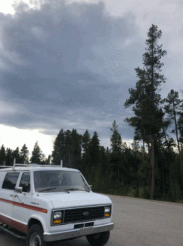 White Ford Van Parked in Lot With Trees