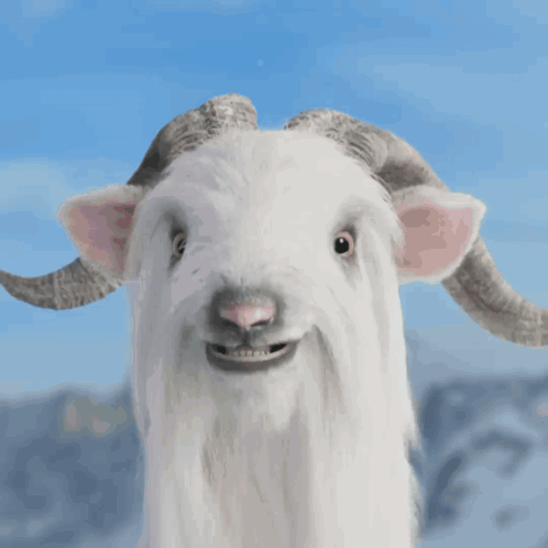 White Goat Horns Mouth Open