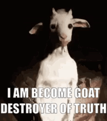 White Goat Sitting on Rock With Quote