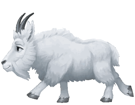 White Goat With Horns