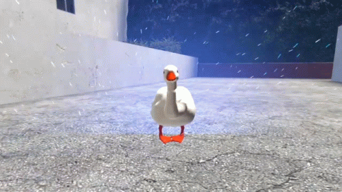 White Goose With Red Feet Standing on Concrete Floor