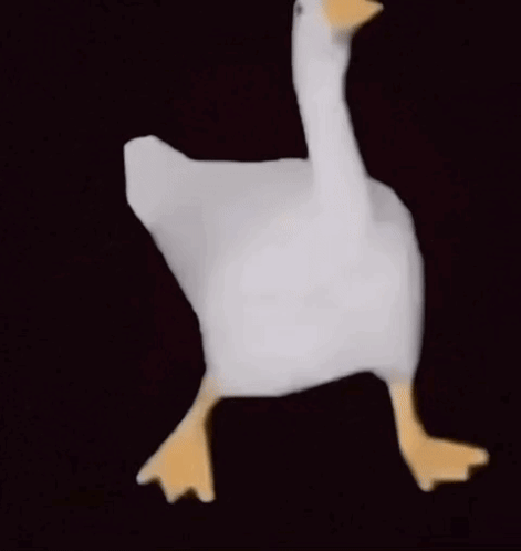 White Goose With Yellow Beak and Legs Walking
