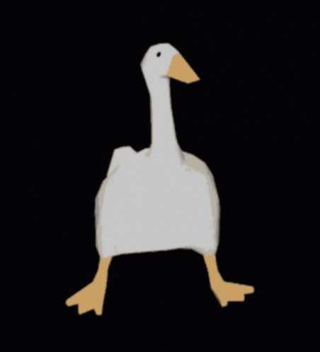 White Goose With Yellow Beak Running