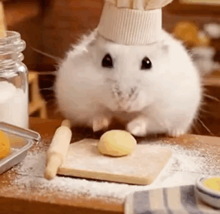 White Hamster In Chef Hat Beside Cutting Board GIF