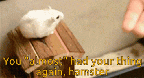 White Hamster Sitting on Wooden Box Saying You Almost Had Your Thing Again