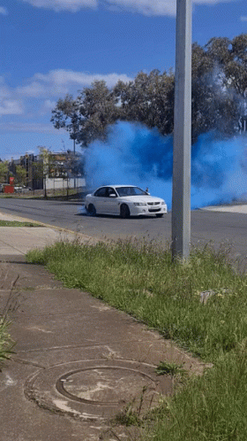 White Holden Commodore Blue Burnout GIF