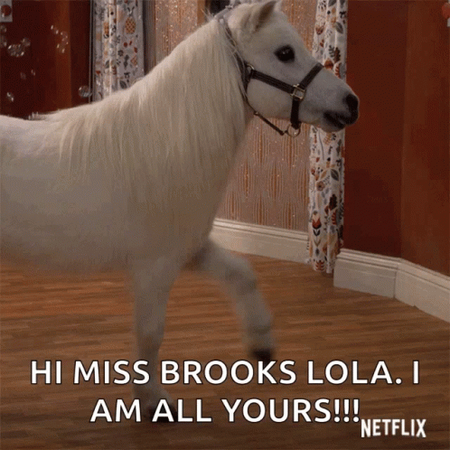 White Horse Neigh At Brooks Lola's Door GIF