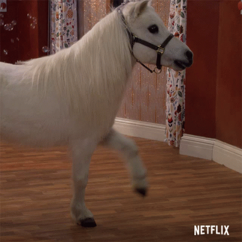 White Horse Standing on Wooden Floor With Netflix Logo