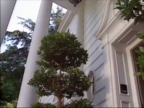 White House with Columns and Trees