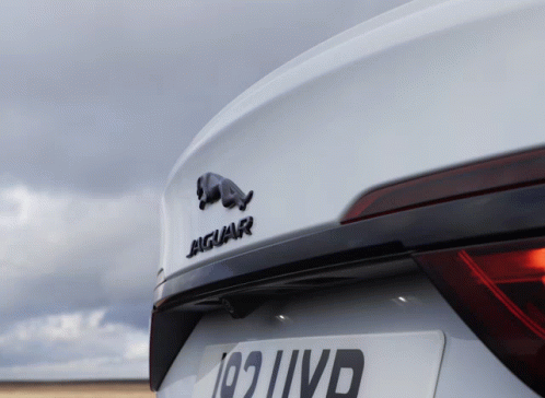 White Jaguar Back With License Plate 191 IVD