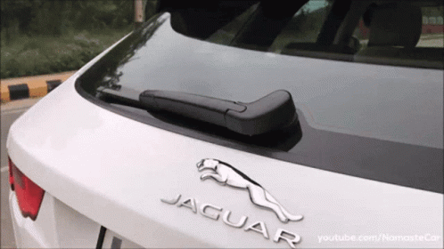 White Jaguar Car Back With Logo GIF