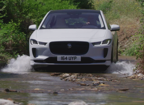 White Jaguar License Plate 164 UYP