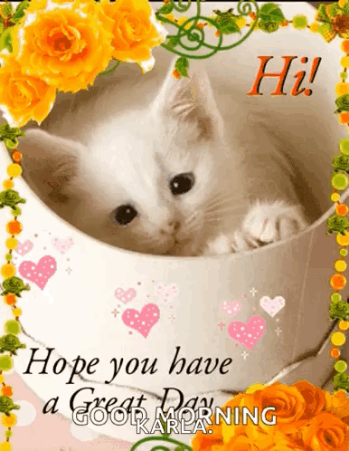 White Kitten In Cup With Flowers Saying Hope You Have A Great Day GIF